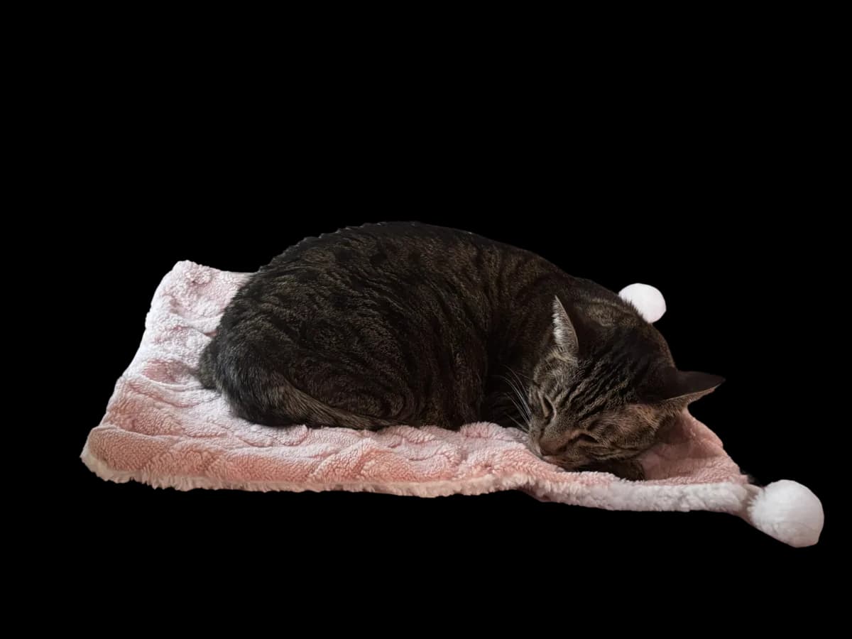The Bubby Blanket