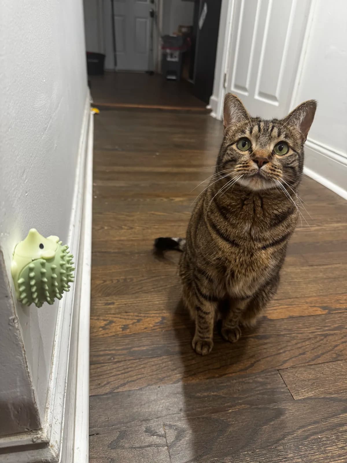 The Wall Brush